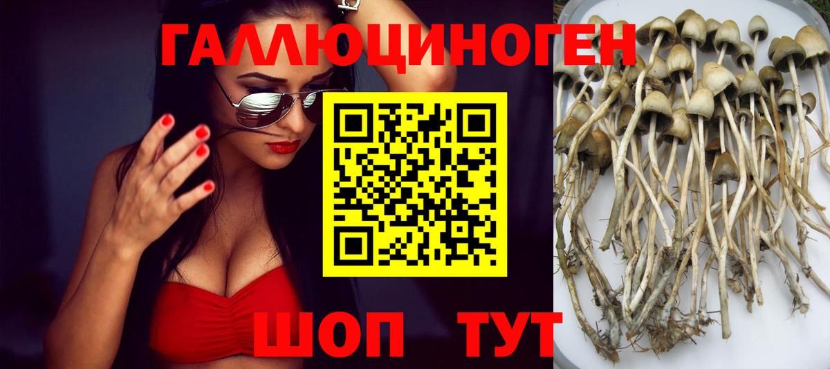 Галлюциногенные грибы MAGIC MUSHROOMS Брянск